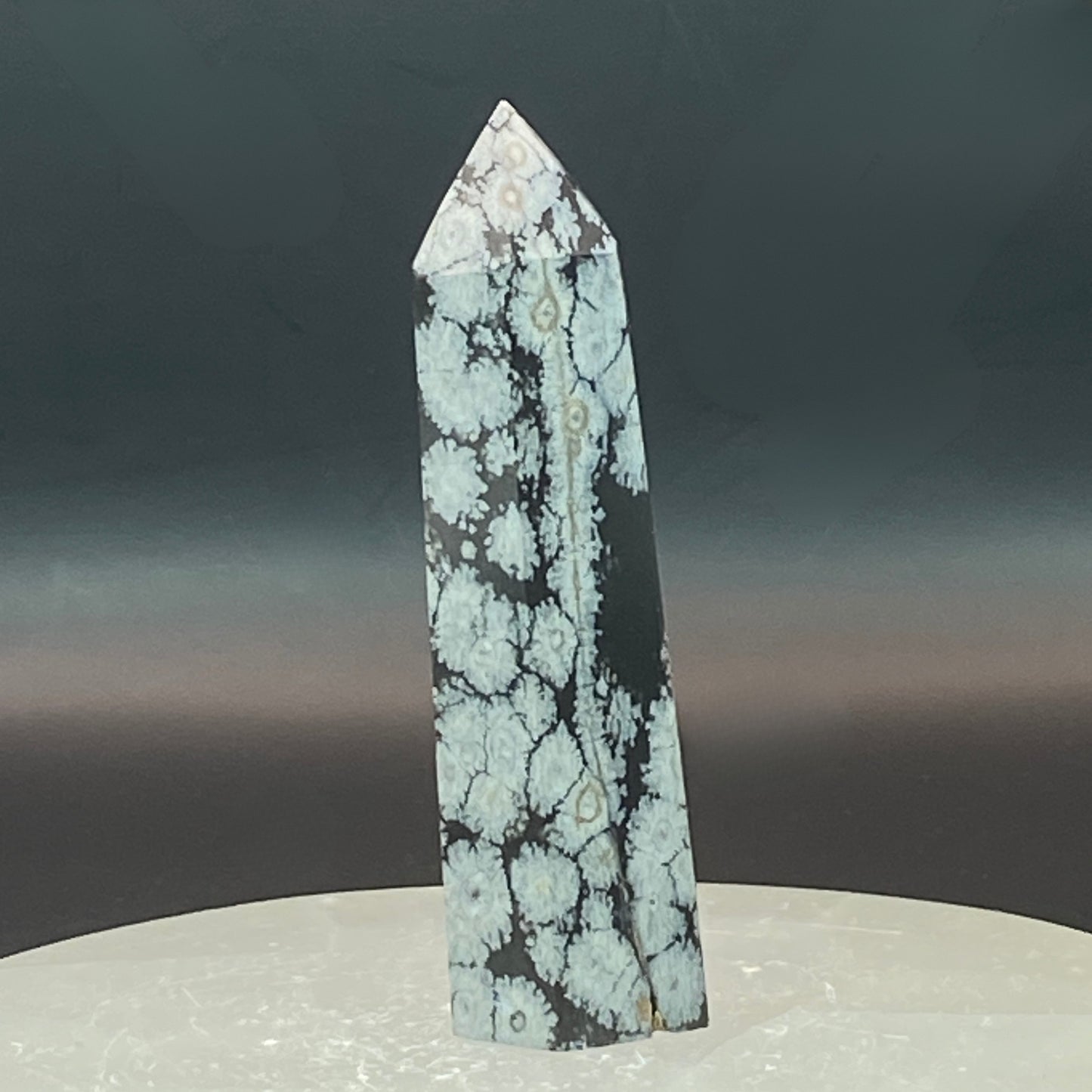 Snowflake Obsidian Point #6