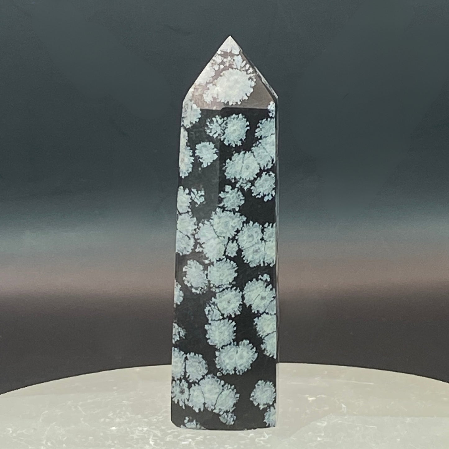 Snowflake Obsidian Point #8