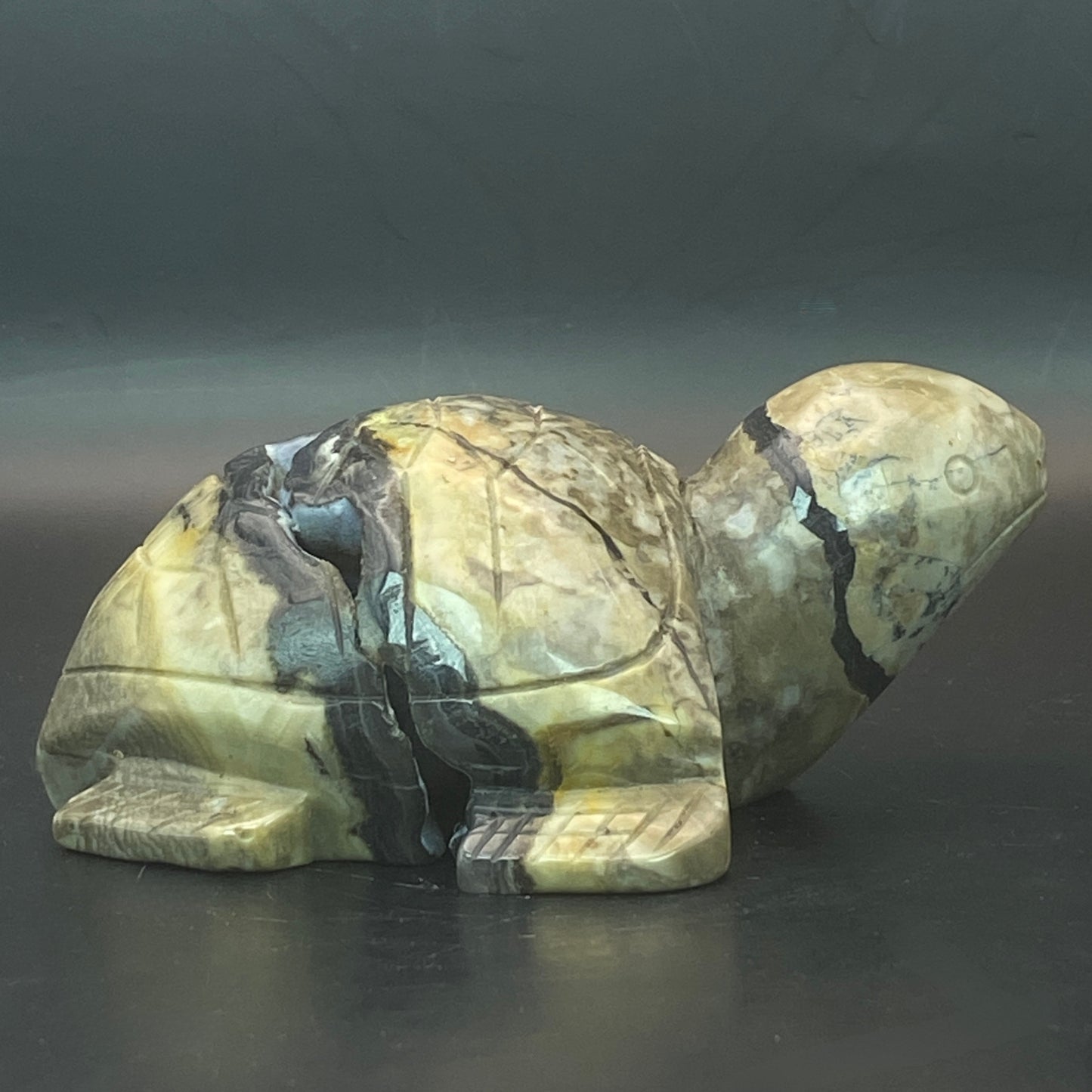 Volcano Agate Turtle #1  - Large