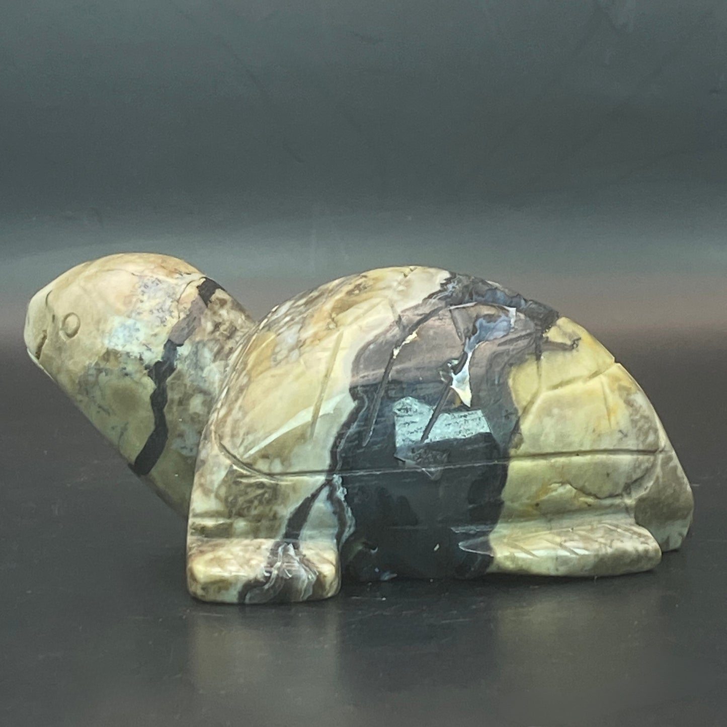 Volcano Agate Turtle #1  - Large