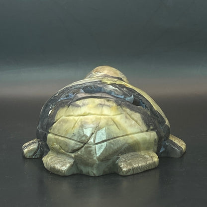 Volcano Agate Turtle #1  - Large