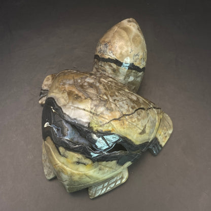 Volcano Agate Turtle #1  - Large