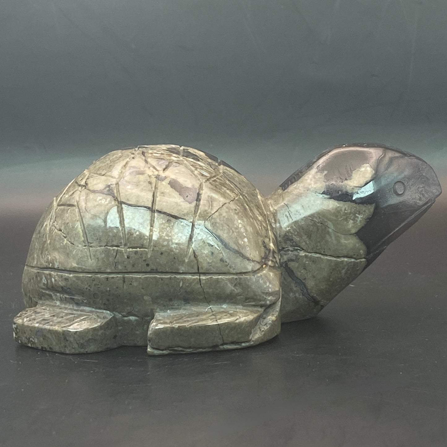 Volcano Agate Turtle #2  - Large