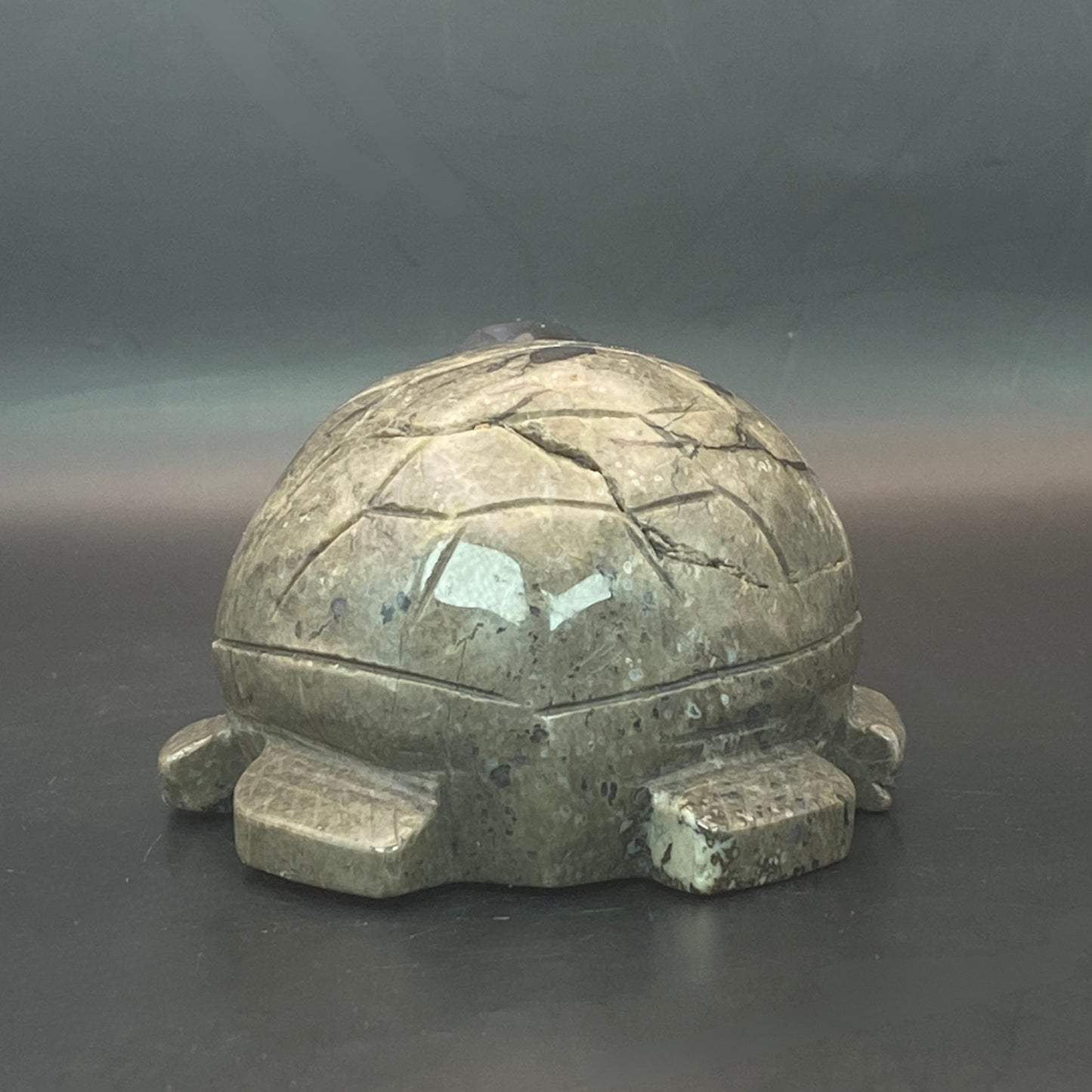 Volcano Agate Turtle #2  - Large