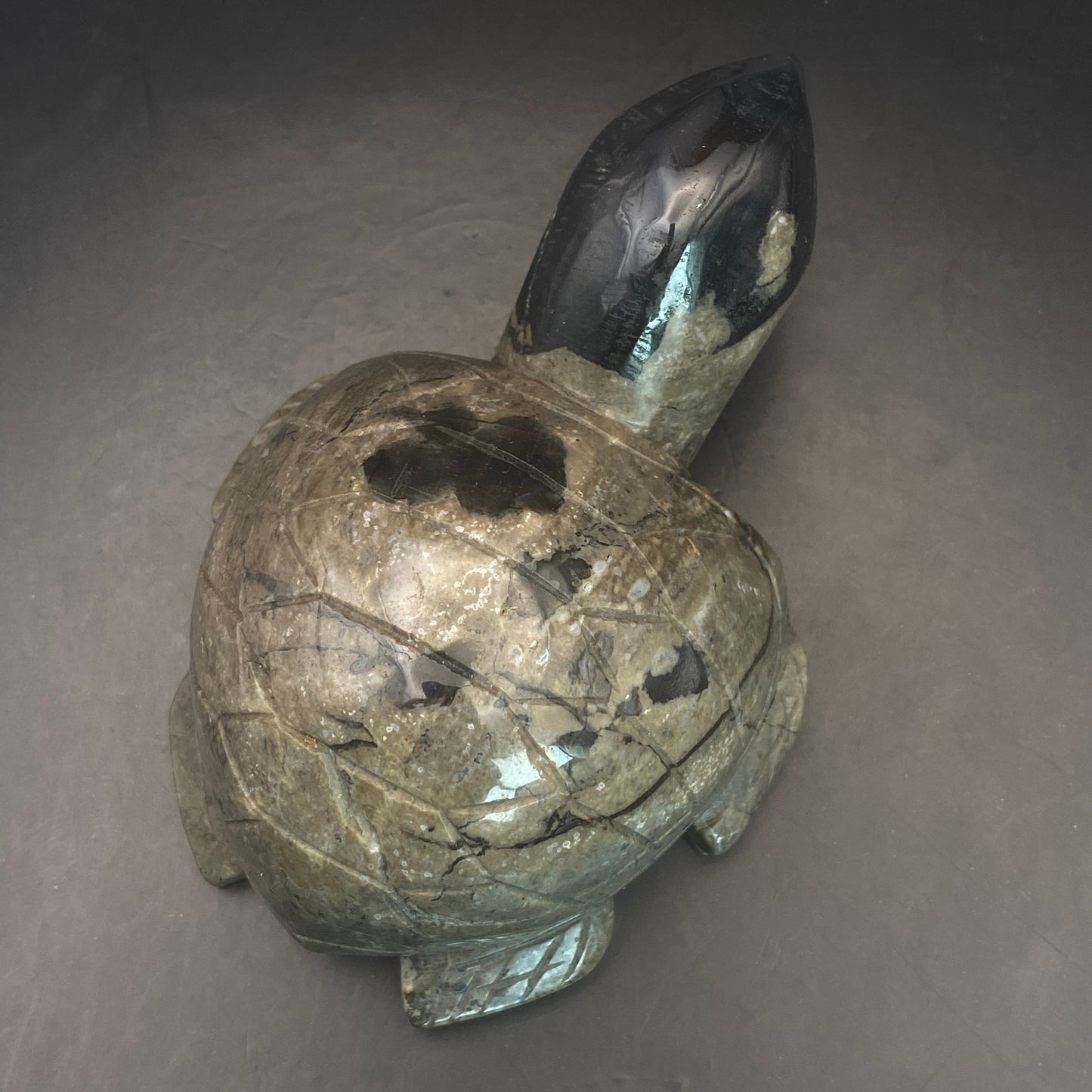 Volcano Agate Turtle #2  - Large