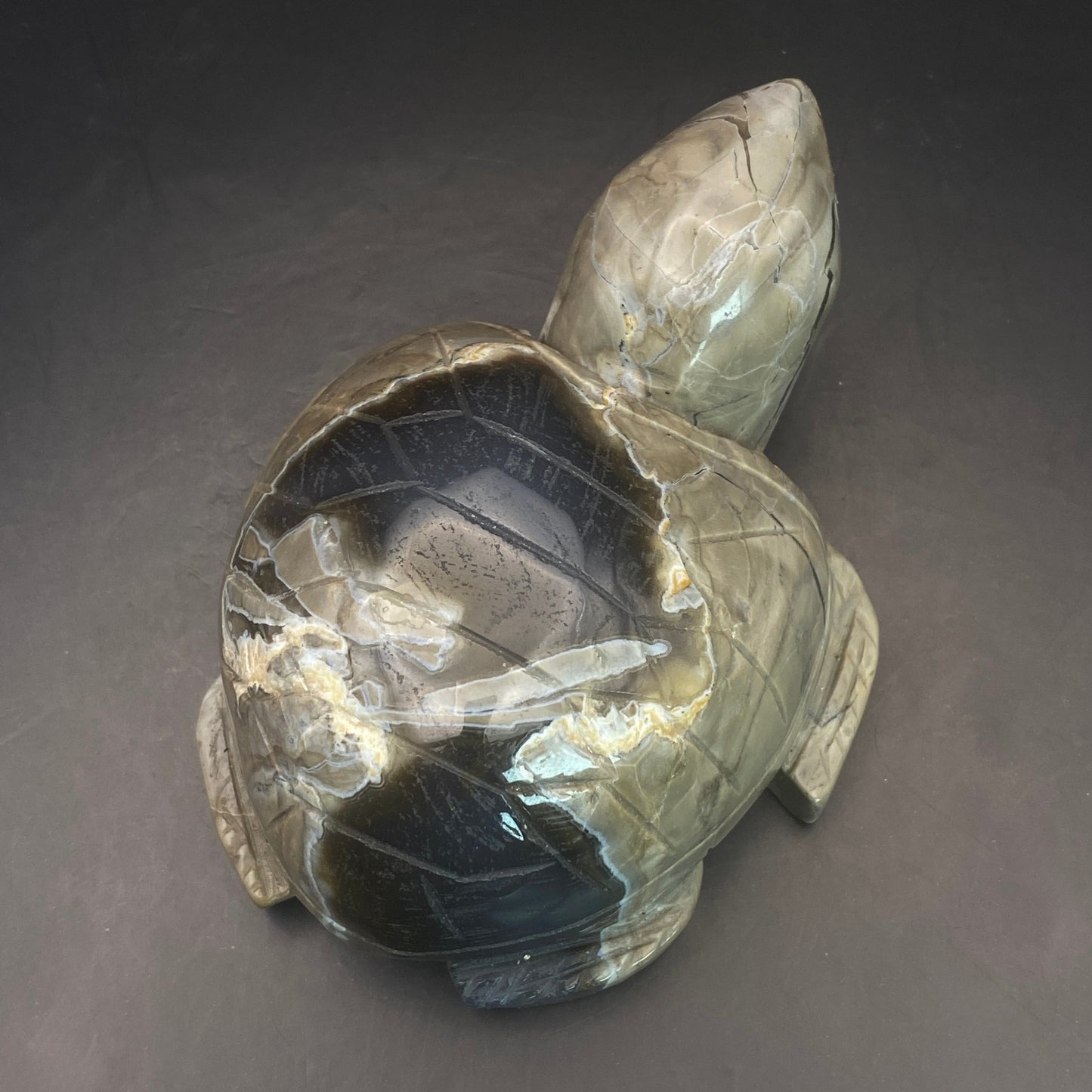 Volcano Agate Turtle #3  - Large