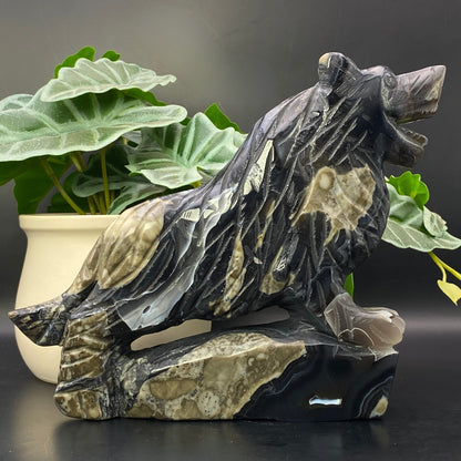 LARGE Volcano Agate Wolf - OVER 1KG!