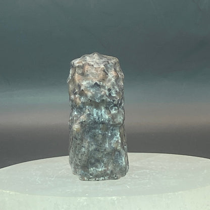Yooperlite Eagle Head #2