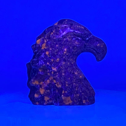 Yooperlite Eagle Head #2