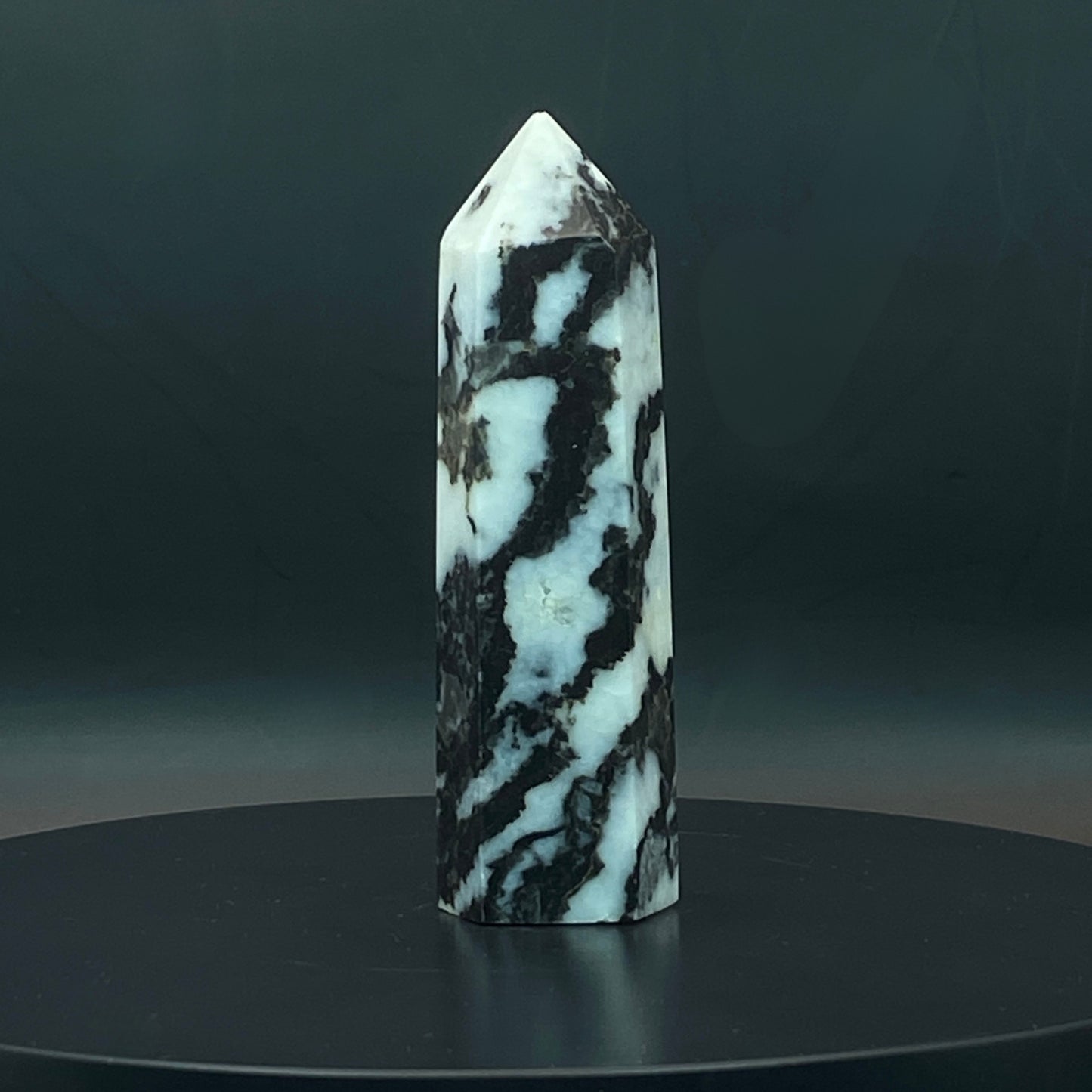 Zebra Jasper Point #10