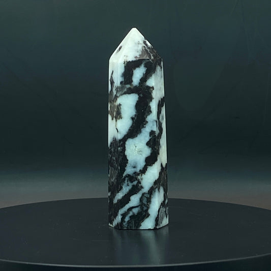 Zebra Jasper Point #10