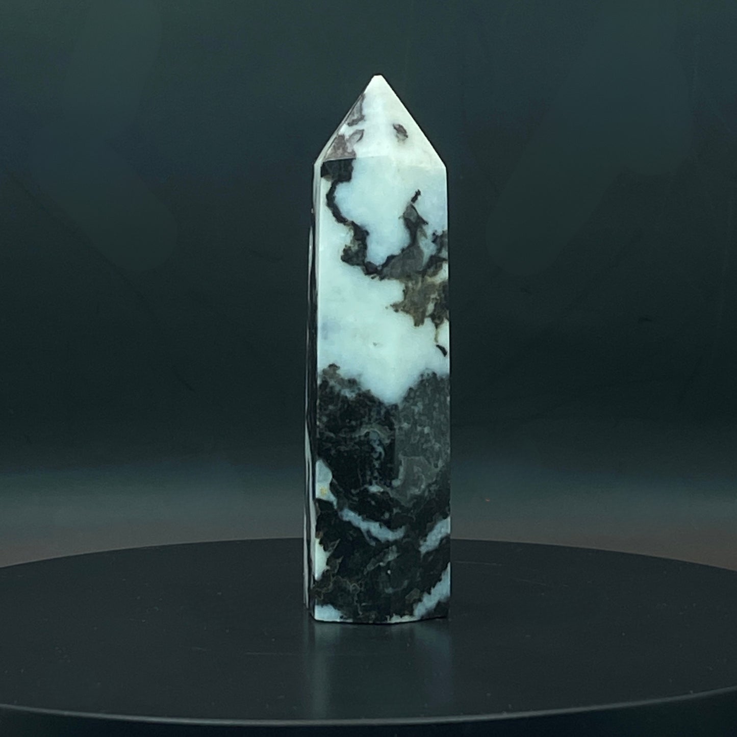Zebra Jasper Point #10
