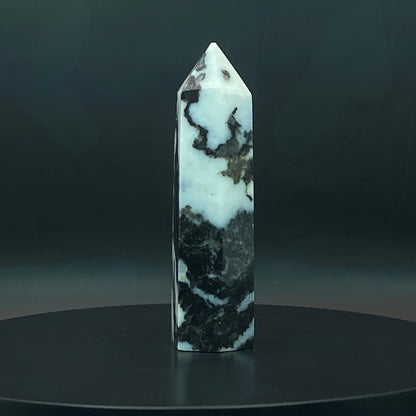 Zebra Jasper Point #10