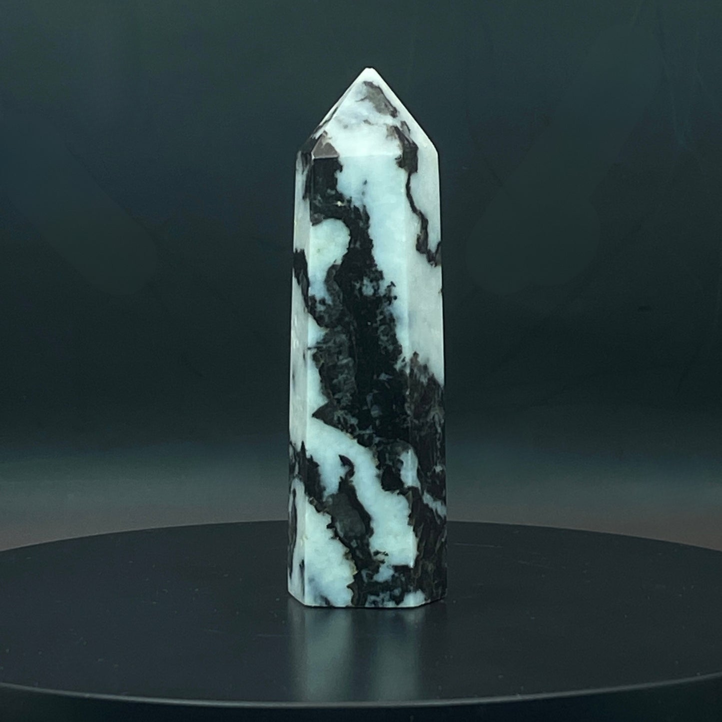 Zebra Jasper Point #10
