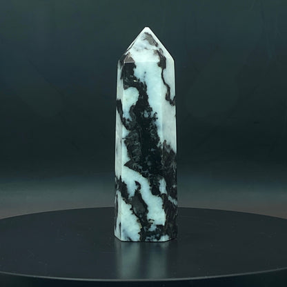 Zebra Jasper Point #10