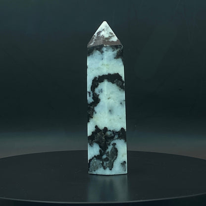 Zebra Jasper Point #10