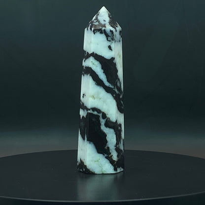Zebra Jasper Point #11