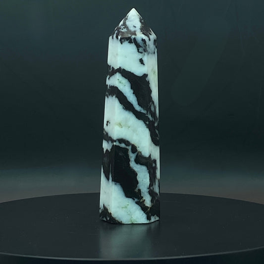 Zebra Jasper Point #11