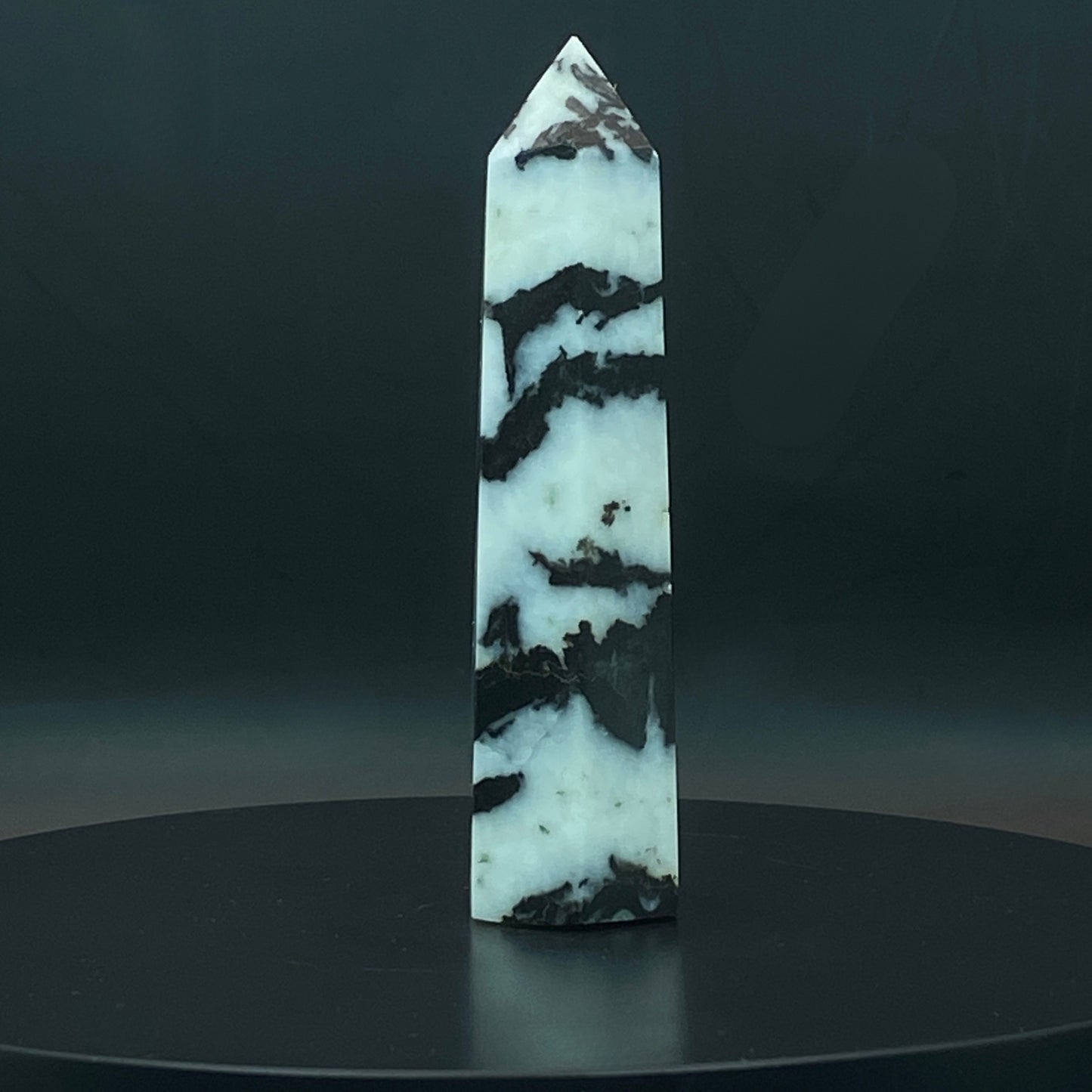 Zebra Jasper Point #11