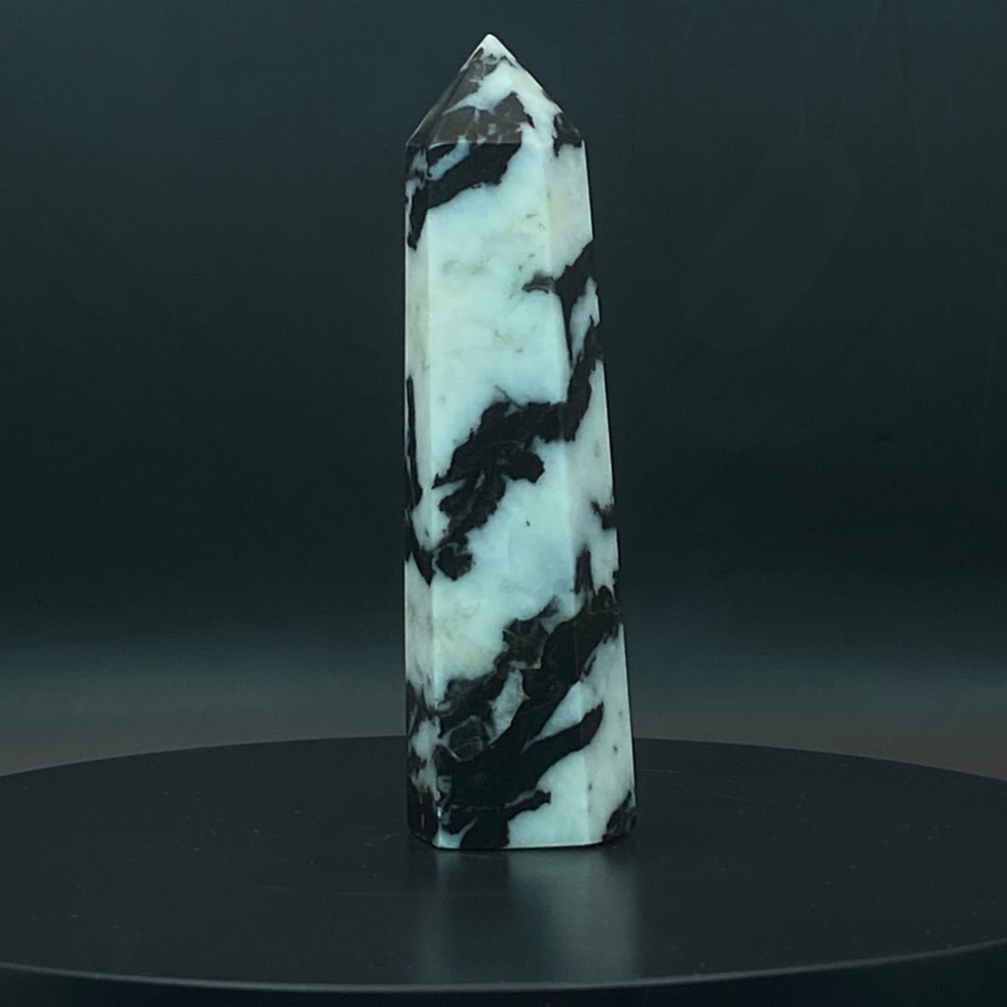 Zebra Jasper Point #11