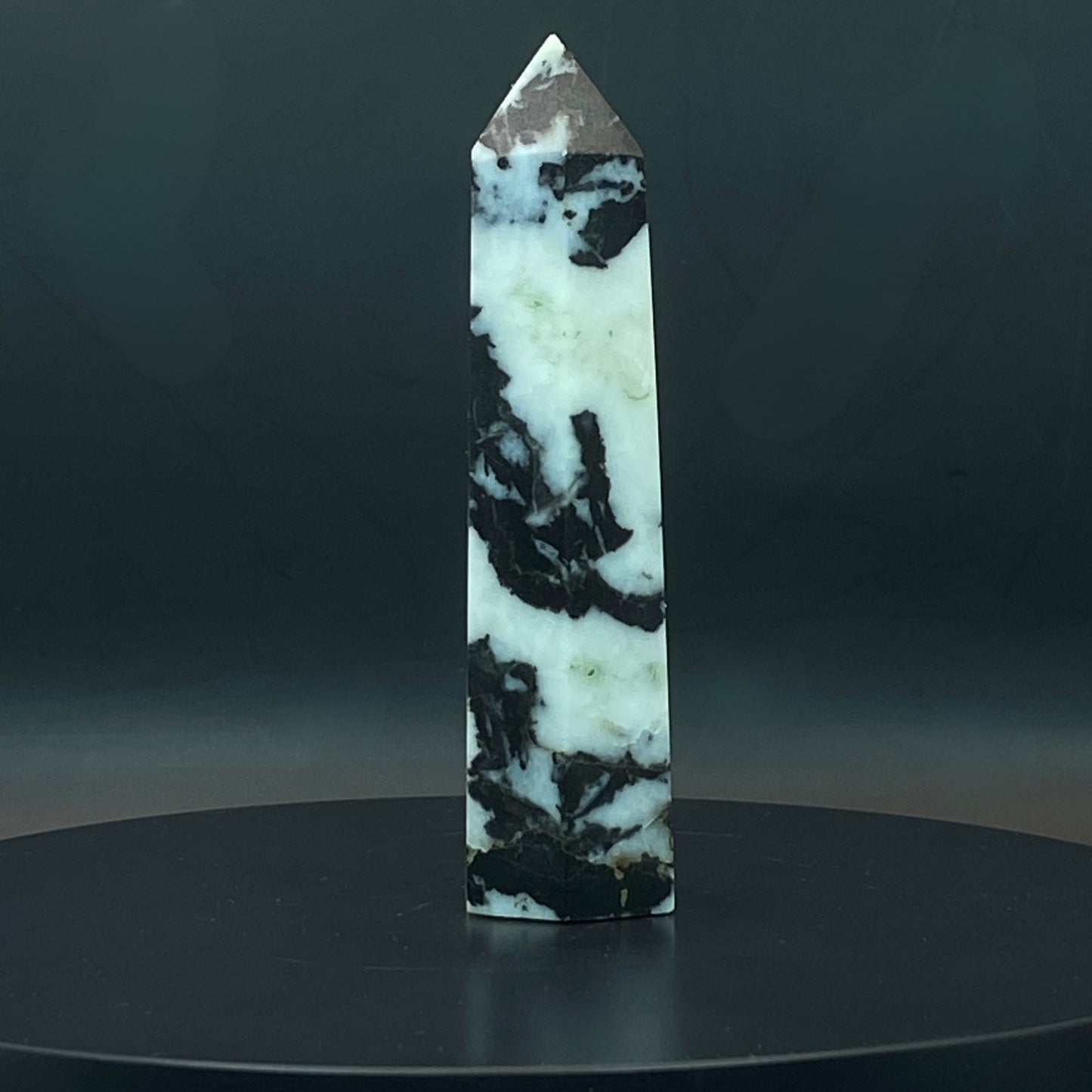 Zebra Jasper Point #11