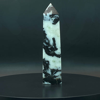 Zebra Jasper Point #11