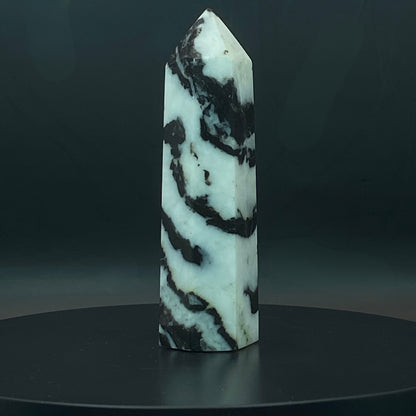 Zebra Jasper Point #12