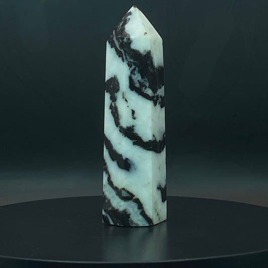Zebra Jasper Point #12