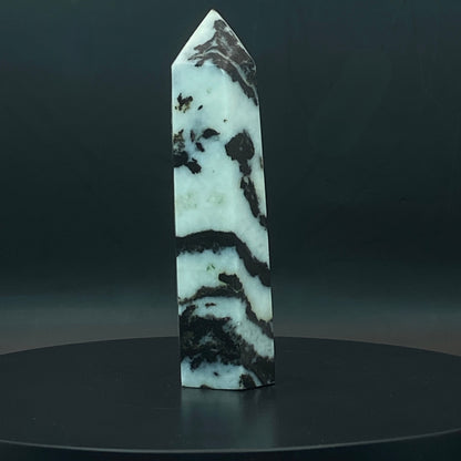 Zebra Jasper Point #12
