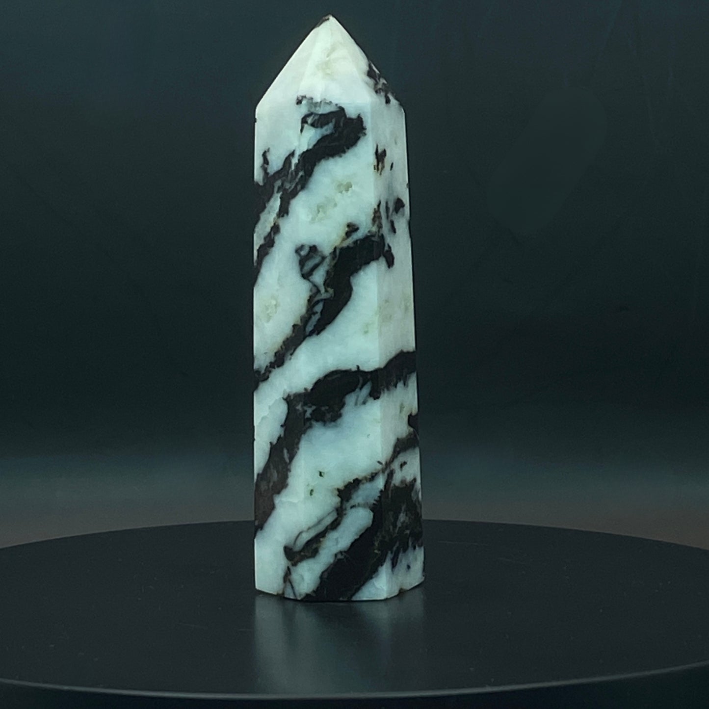 Zebra Jasper Point #12