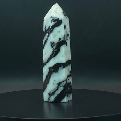Zebra Jasper Point #12