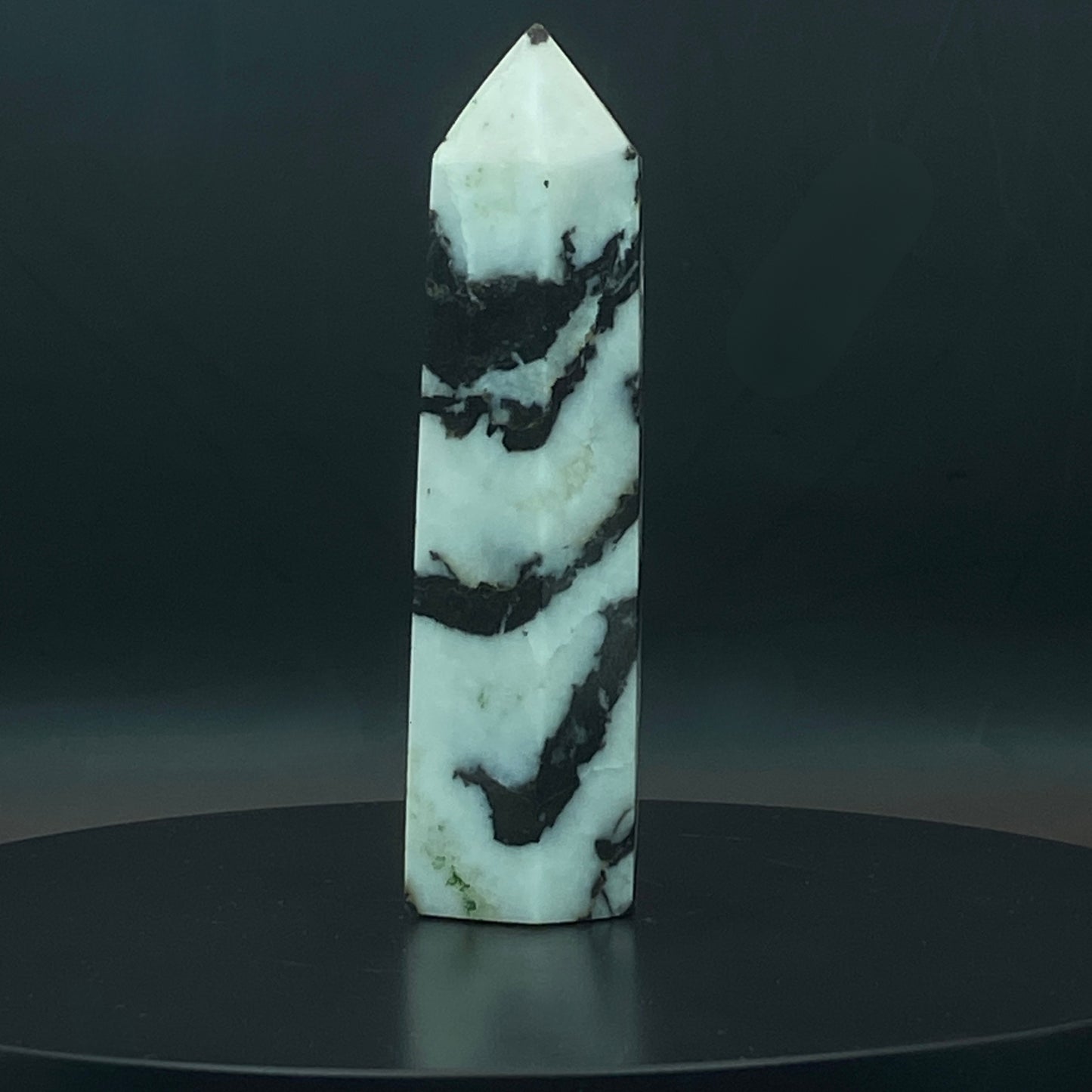 Zebra Jasper Point #12