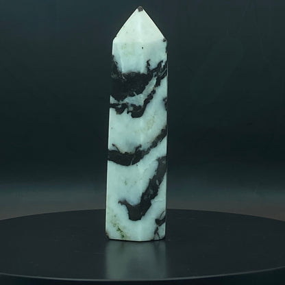 Zebra Jasper Point #12