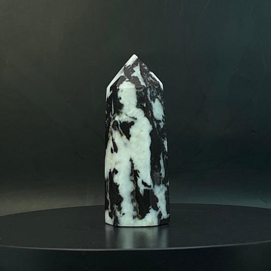 Zebra Jasper Point #13