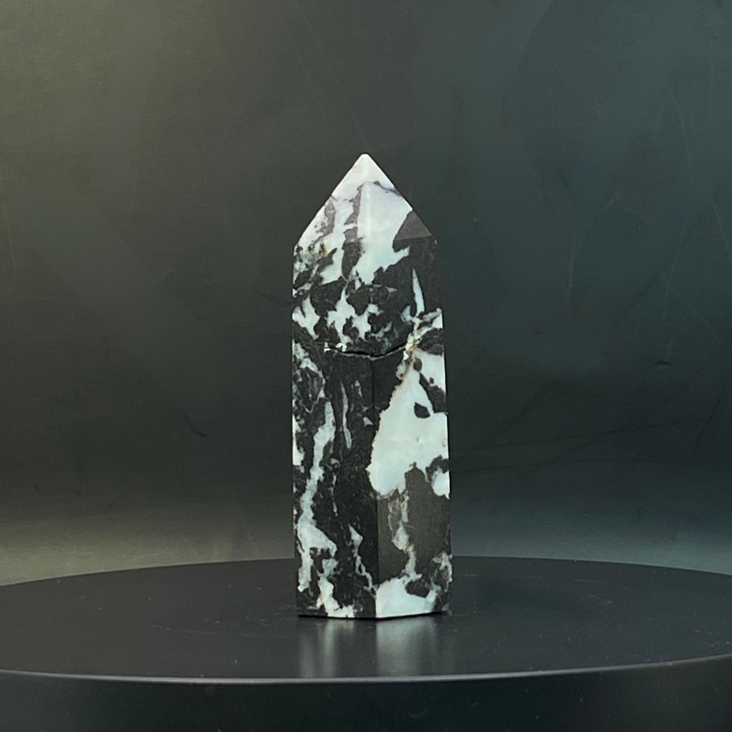 Zebra Jasper Point #13