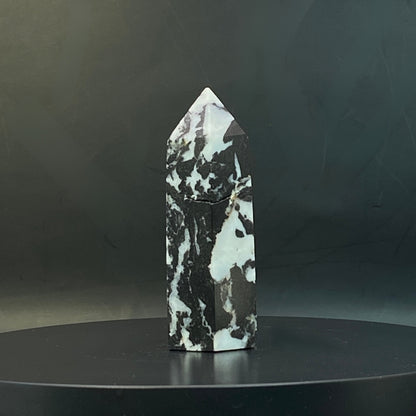Zebra Jasper Point #13