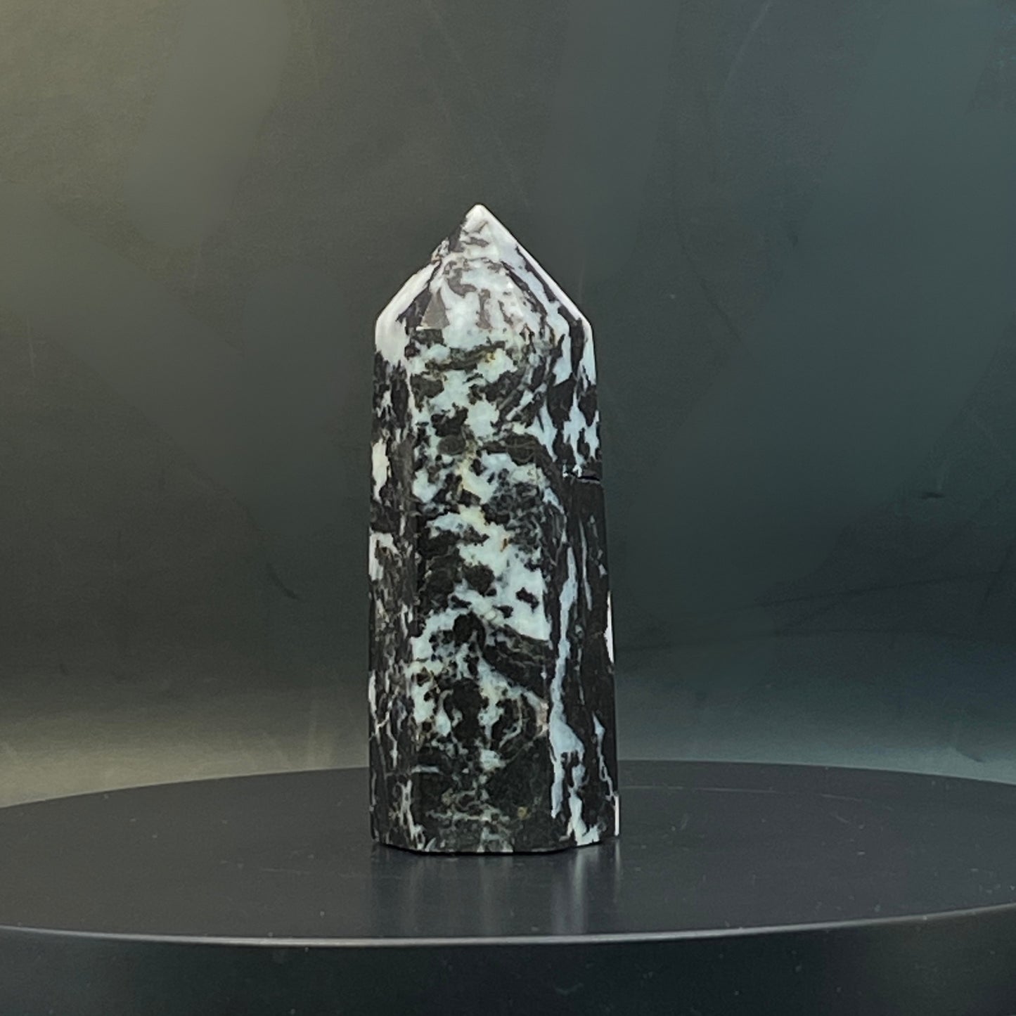 Zebra Jasper Point #13