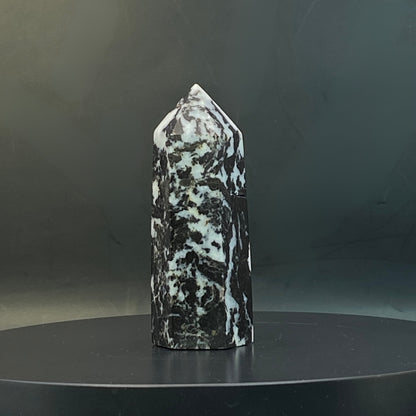 Zebra Jasper Point #13