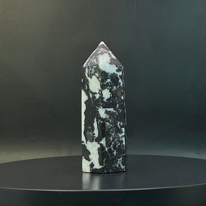 Zebra Jasper Point #13