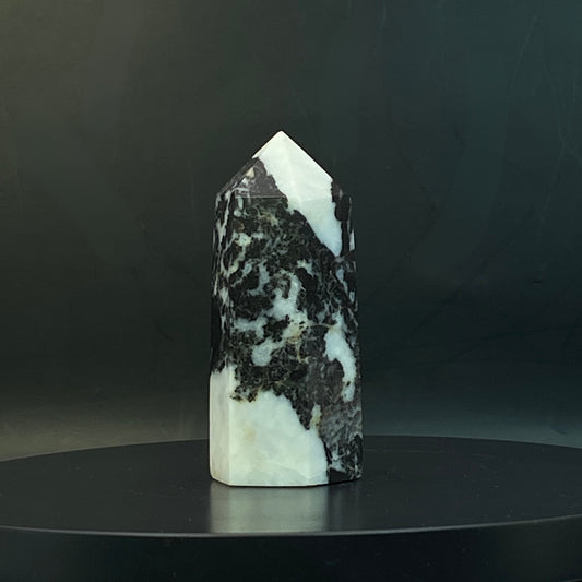 Zebra Jasper Point #14