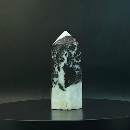Zebra Jasper Point #14