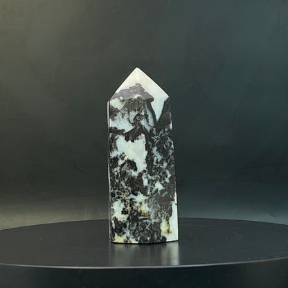Zebra Jasper Point #14