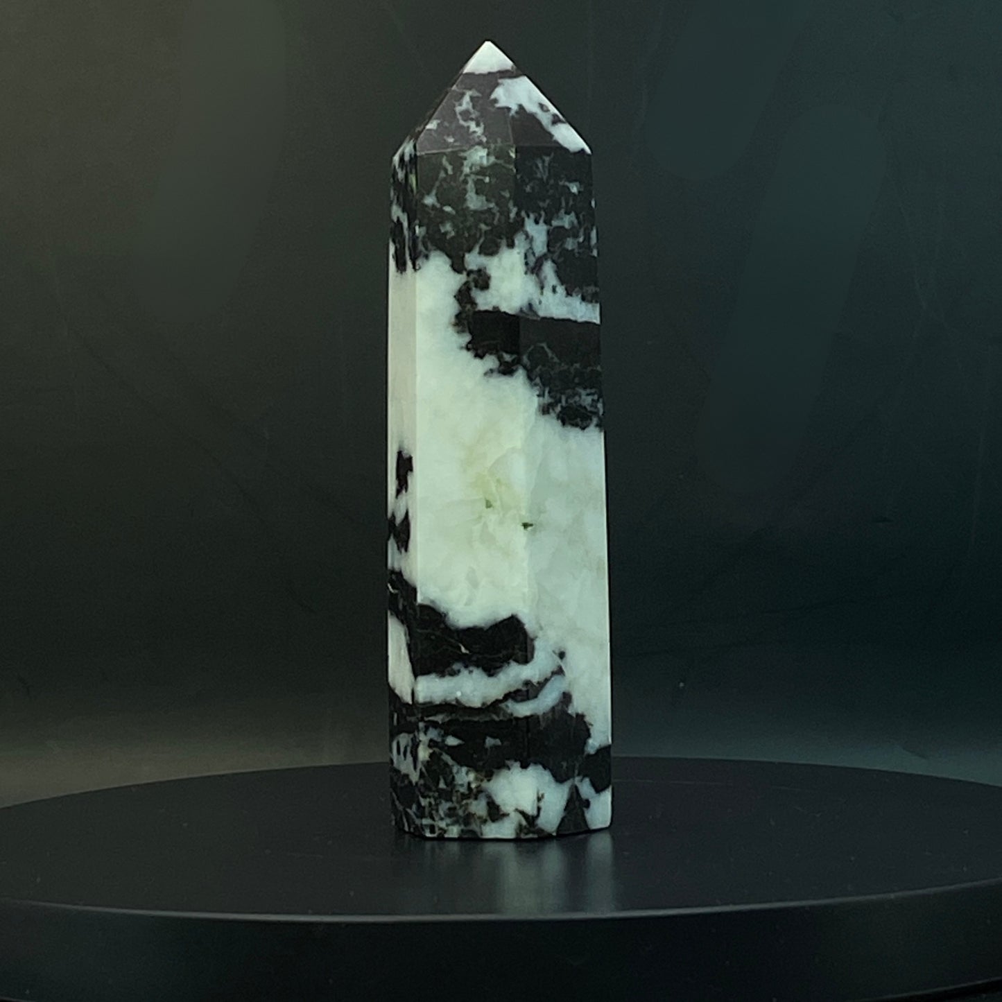 Zebra Jasper Point #15
