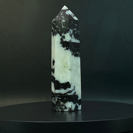Zebra Jasper Point #15