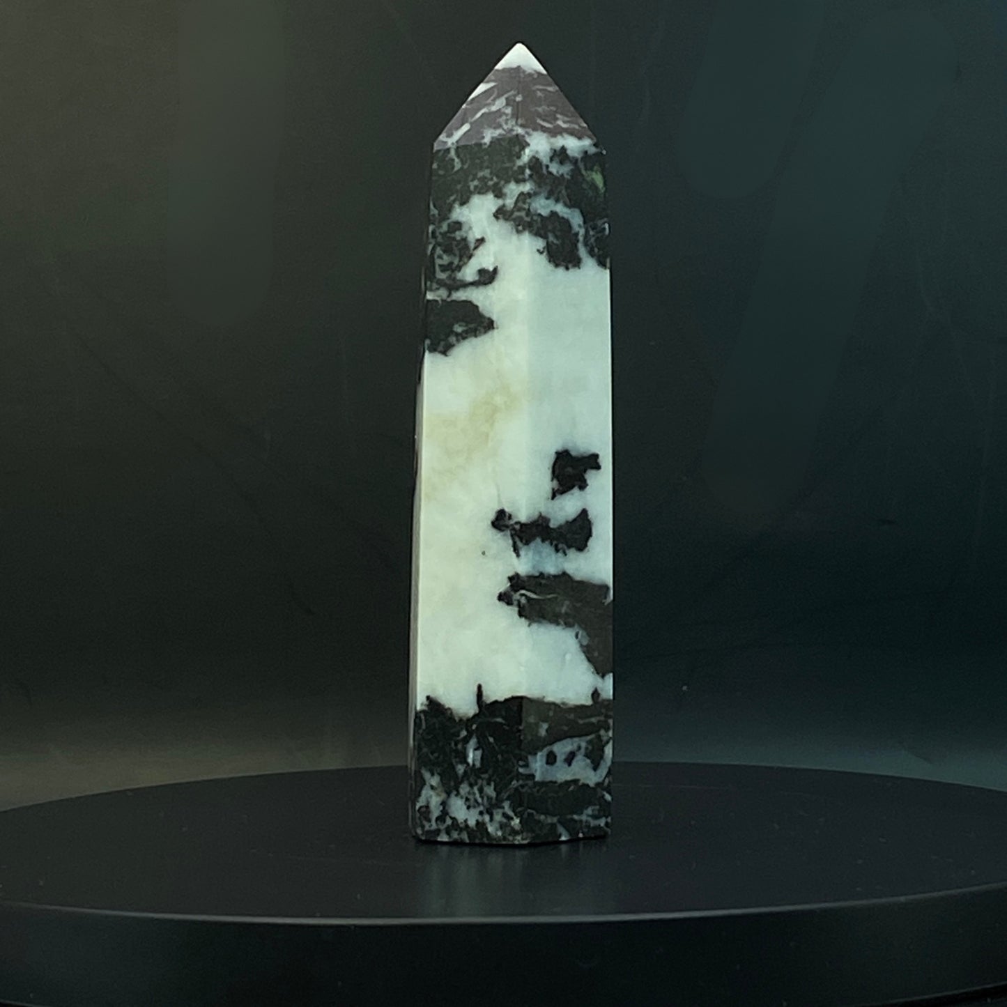 Zebra Jasper Point #15