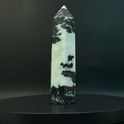 Zebra Jasper Point #15