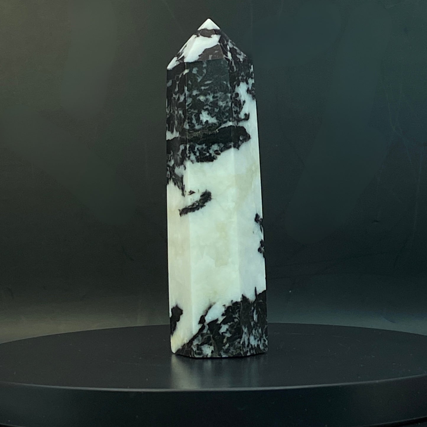 Zebra Jasper Point #15