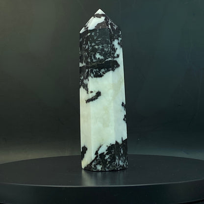 Zebra Jasper Point #15