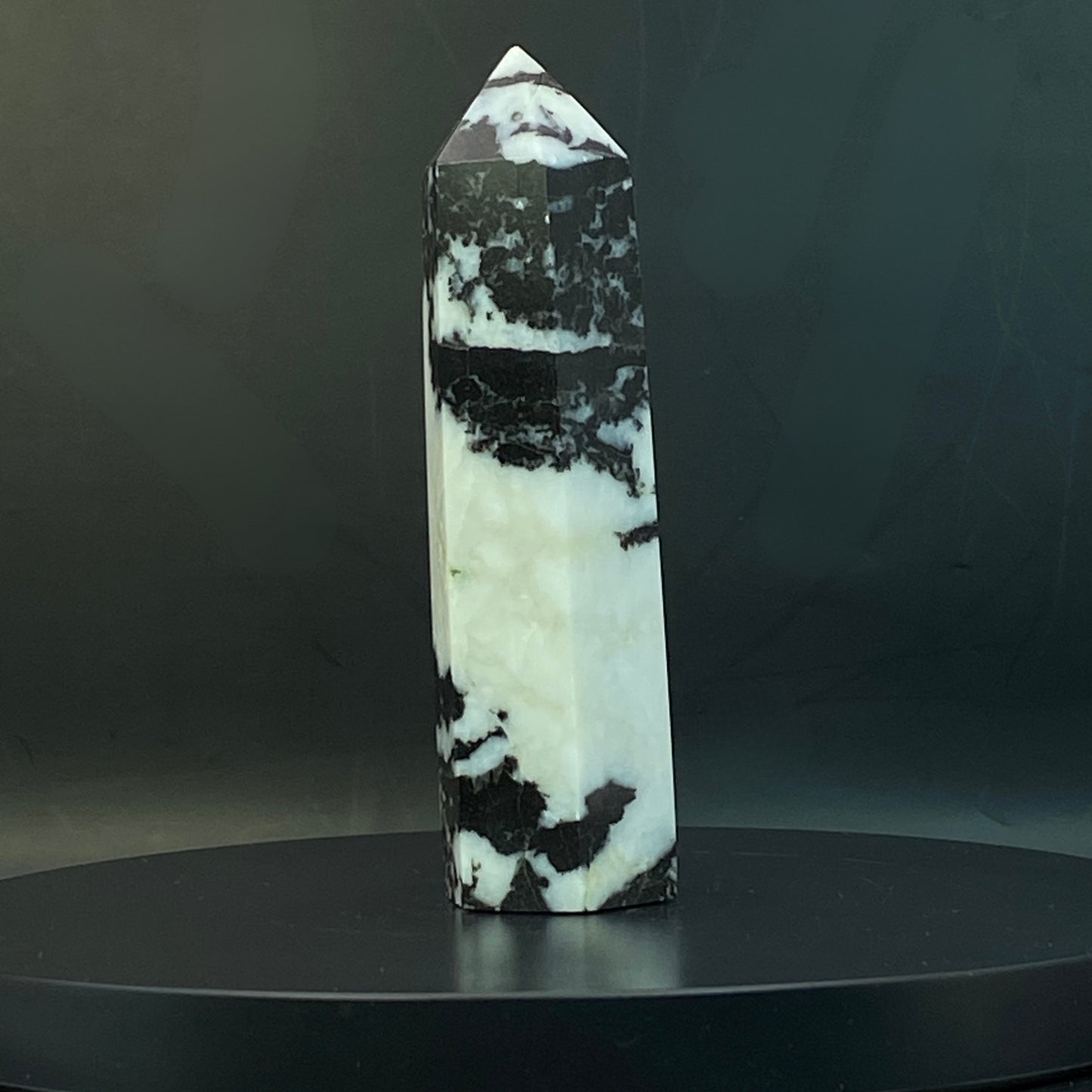 Zebra Jasper Point #15