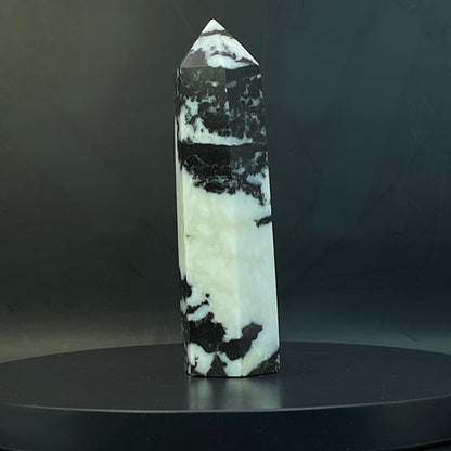 Zebra Jasper Point #15